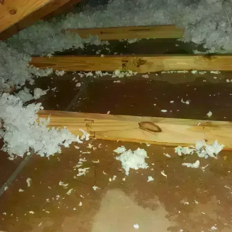 Attic Water Damage in Plymouth County, IA