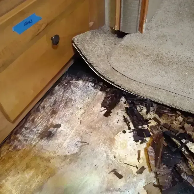 Wood Floor Water Damage in Plymouth County, IA